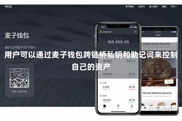 用户可以通过麦子钱包跨链桥私钥和助记词来控制自己的资产