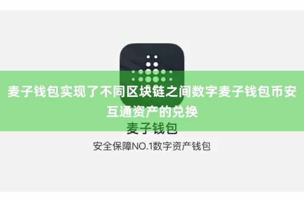 麦子钱包实现了不同区块链之间数字麦子钱包币安互通资产的兑换