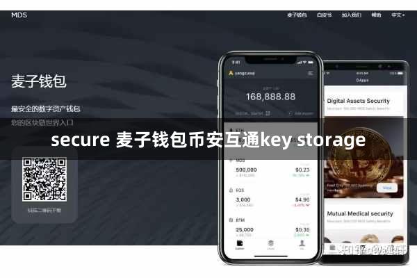 secure 麦子钱包币安互通key storage