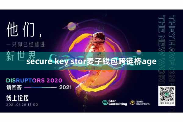 secure key stor麦子钱包跨链桥age
