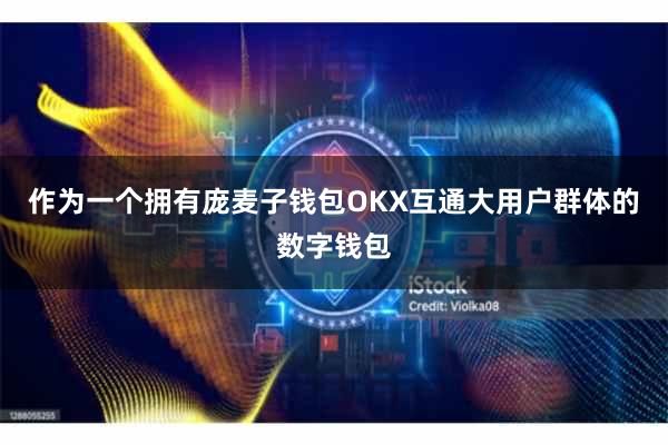 作为一个拥有庞麦子钱包OKX互通大用户群体的数字钱包