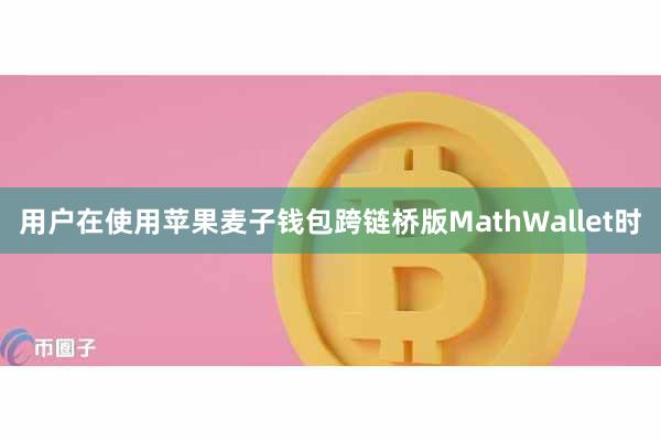 用户在使用苹果麦子钱包跨链桥版MathWallet时