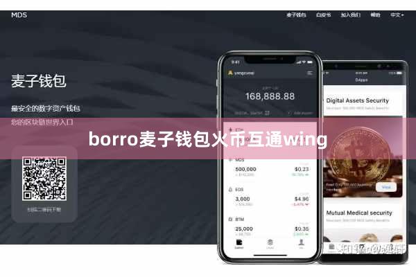 borro麦子钱包火币互通wing
