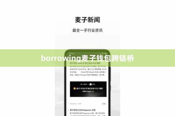 borrowing麦子钱包跨链桥