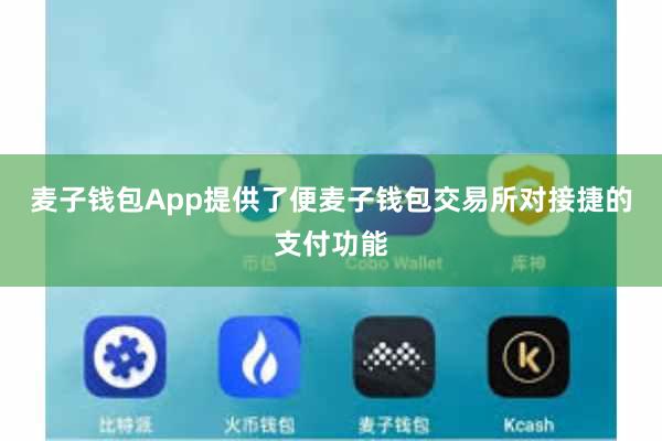 麦子钱包App提供了便麦子钱包交易所对接捷的支付功能