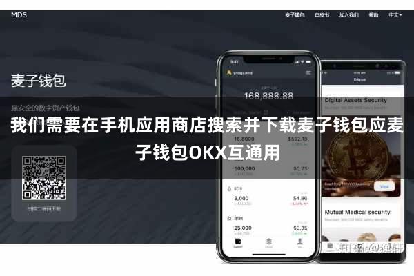 我们需要在手机应用商店搜索并下载麦子钱包应麦子钱包OKX互通用