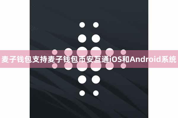 麦子钱包支持麦子钱包币安互通iOS和Android系统