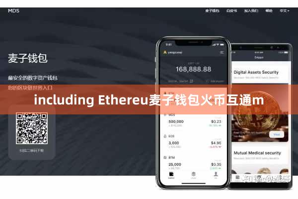 including Ethereu麦子钱包火币互通m