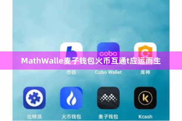 MathWalle麦子钱包火币互通t应运而生