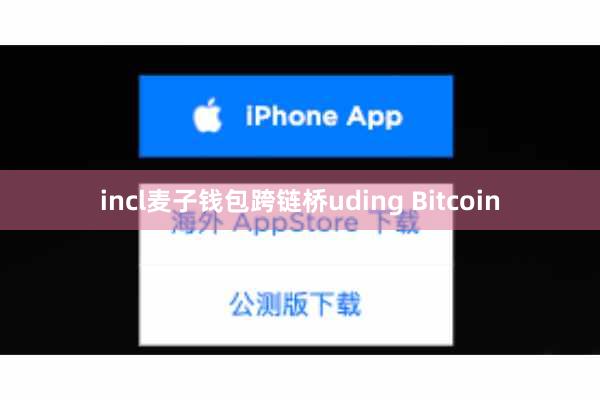 incl麦子钱包跨链桥uding Bitcoin